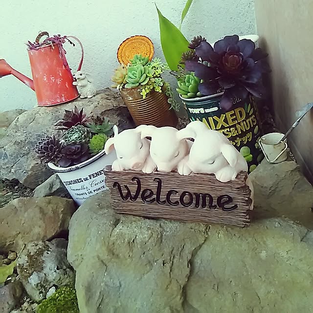 shumecoさんの実例写真