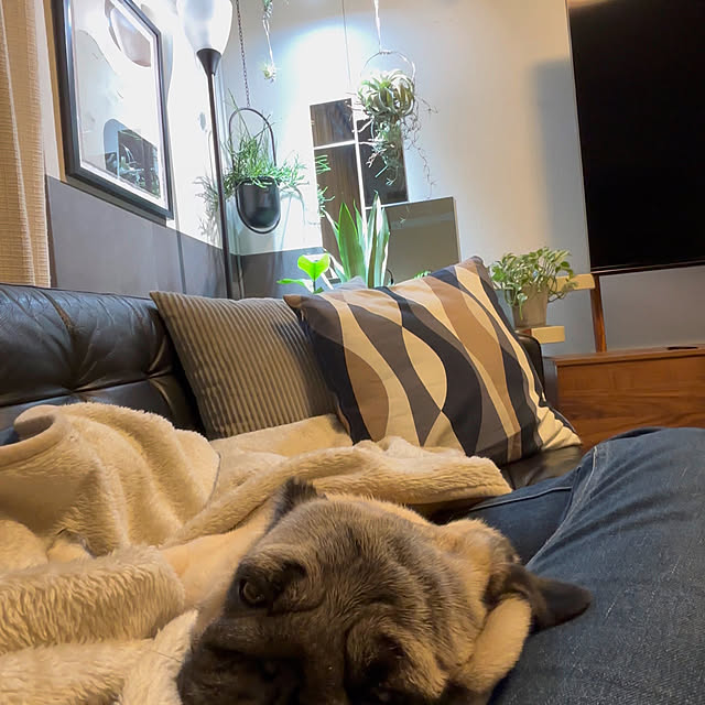 taigonさんの部屋