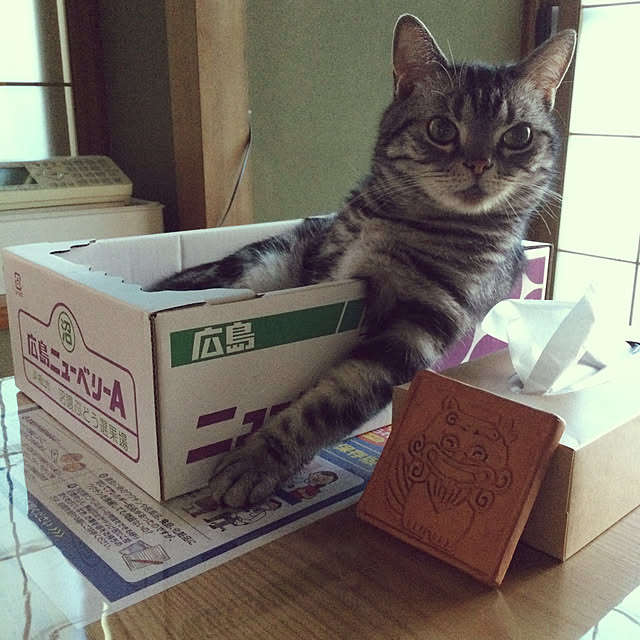 richanさんの実例写真