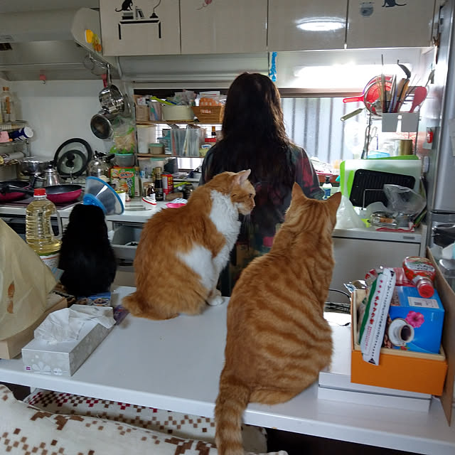 aatan91241さんの実例写真