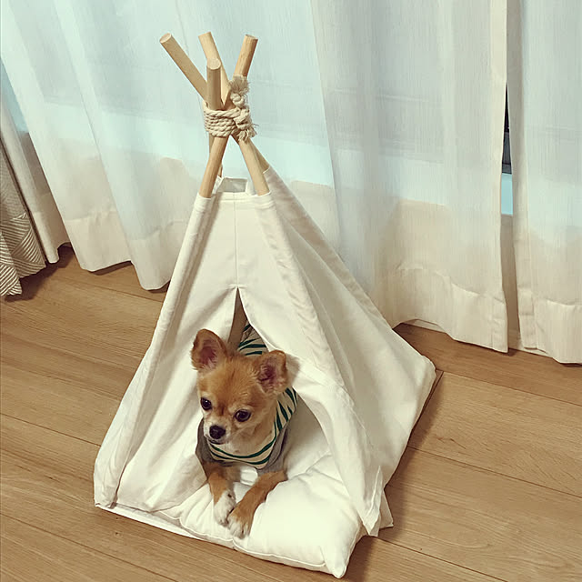 hananokaoriさんの実例写真