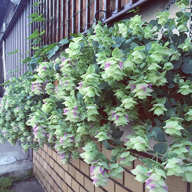 acicombさんの実例写真
