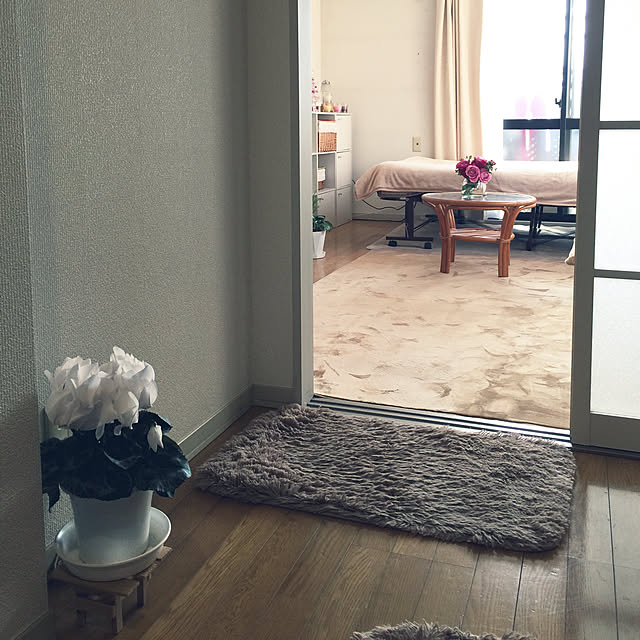 RanRanさんの実例写真