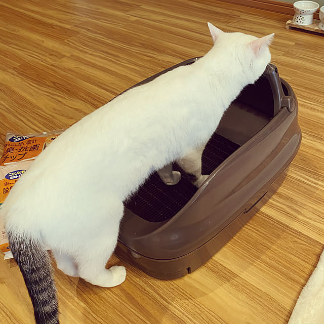 yuyuさんの実例写真