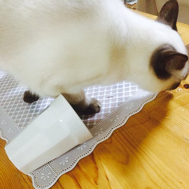 chadoさんの実例写真