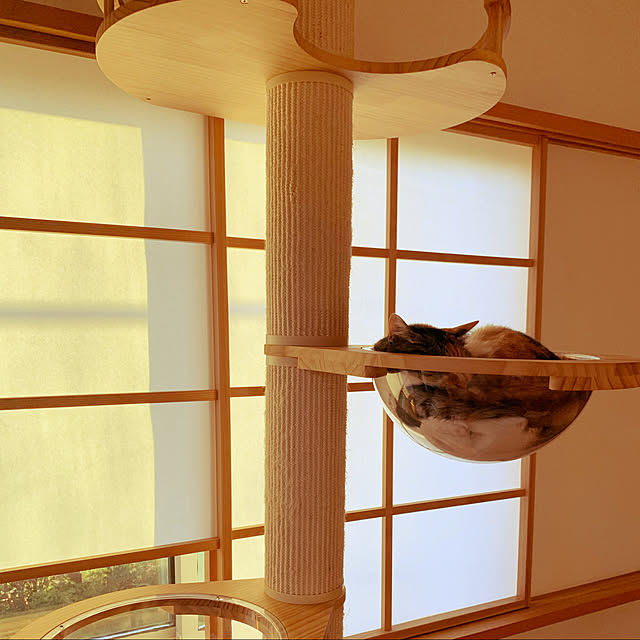 tarvi_meriさんの実例写真