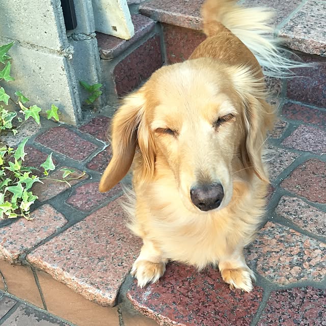 bibianさんの実例写真