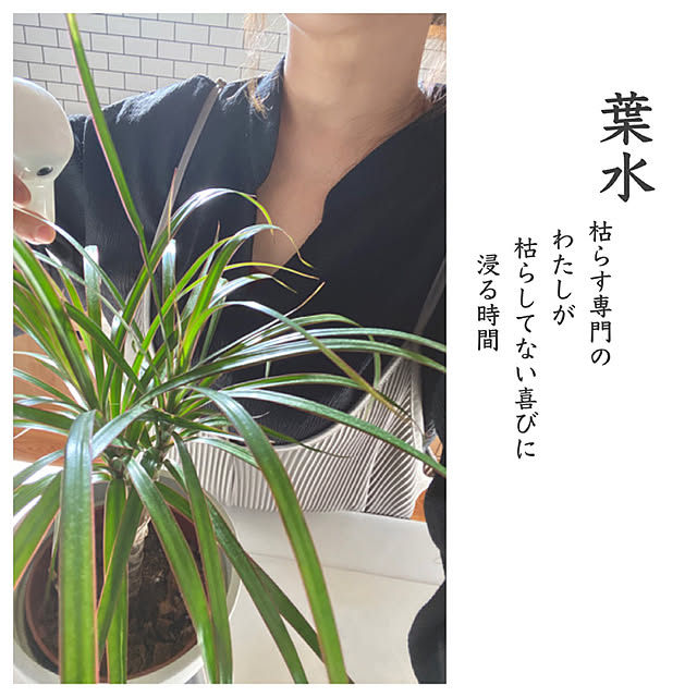 chibinoriさんの実例写真