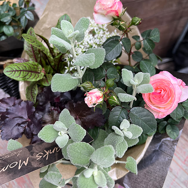 Royal_Gardeners_Clubさんの部屋