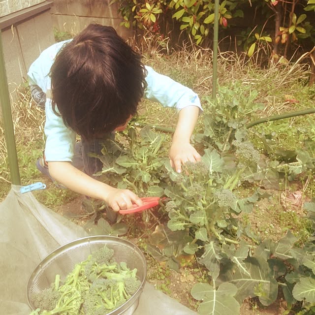 nanaさんの実例写真