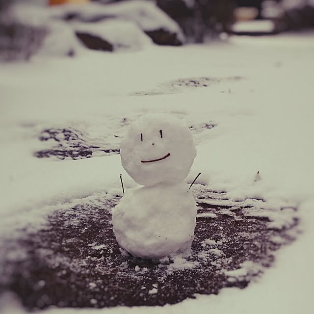 sheepさんの実例写真