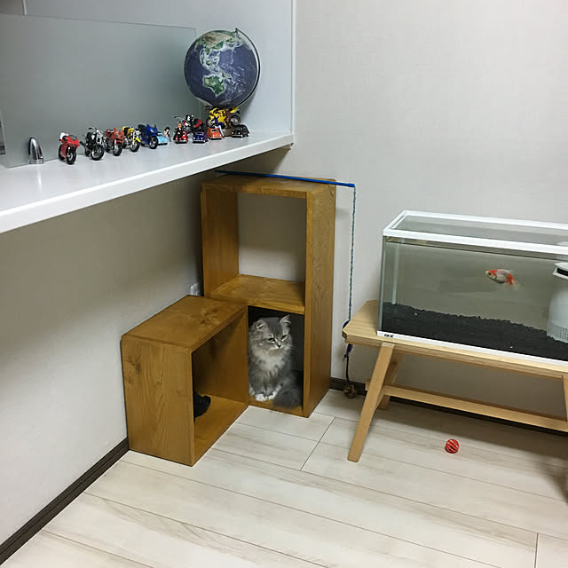 実例写真