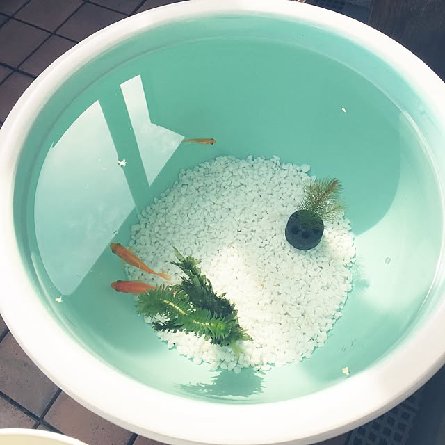 konorinokoさんの実例写真