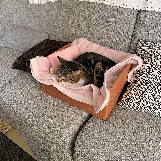 mariさんの実例写真