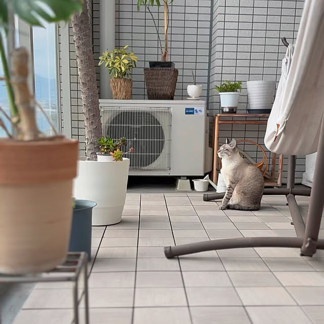 amさんの実例写真