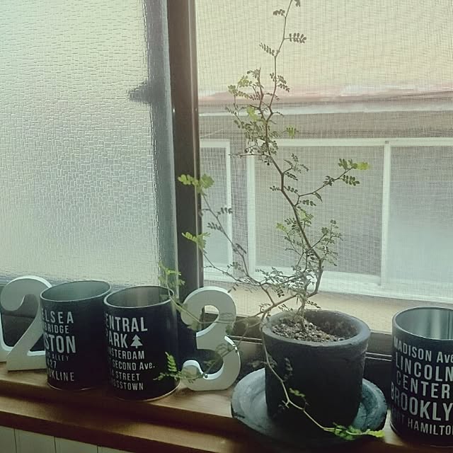 kenさんの実例写真