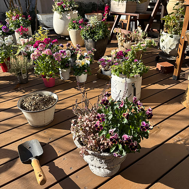 maimai0110さんの部屋