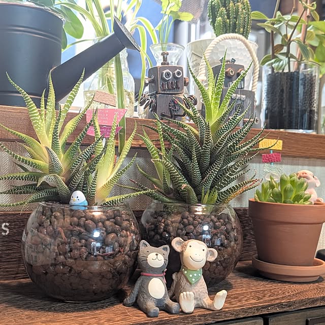 naoporonさんの実例写真