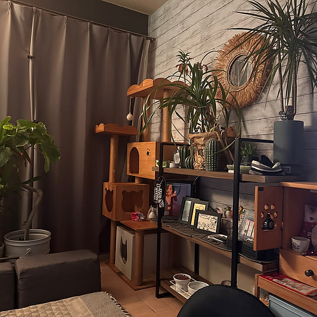 Rindasanさんの部屋