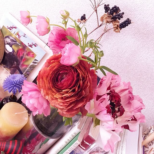 棚/植物のインテリア実例 - 2013-03-08 20:59:35
