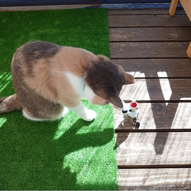 fukuさんの部屋