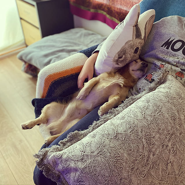 uninekoさんの実例写真