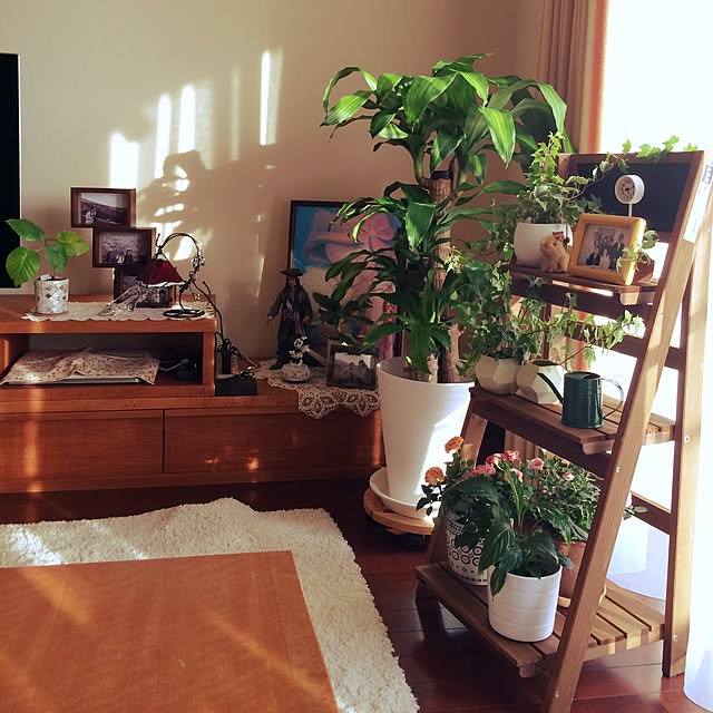 akoさんの実例写真