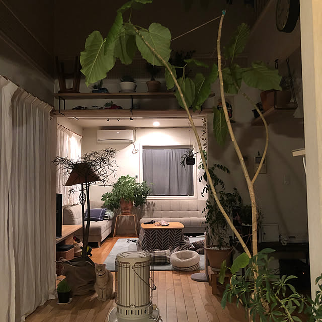 ayさんの実例写真