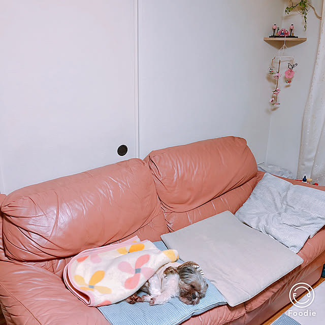 kojiro120513さんの実例写真