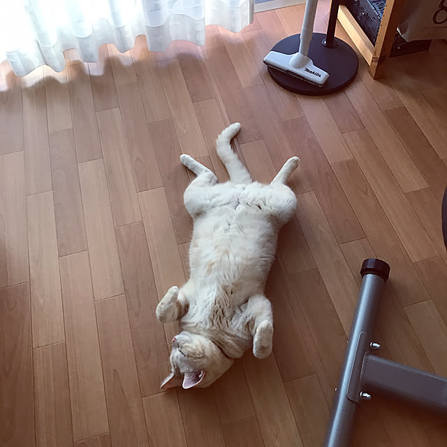 hiyupan88さんの実例写真