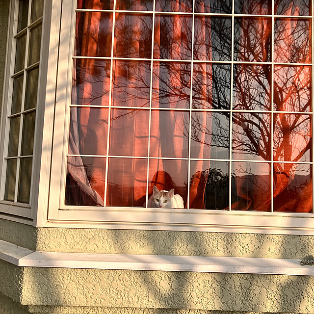 tomorinさんの部屋