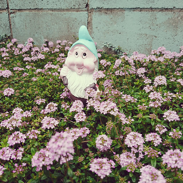 saoriさんの実例写真