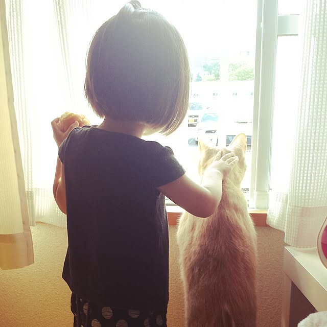 beeさんの実例写真