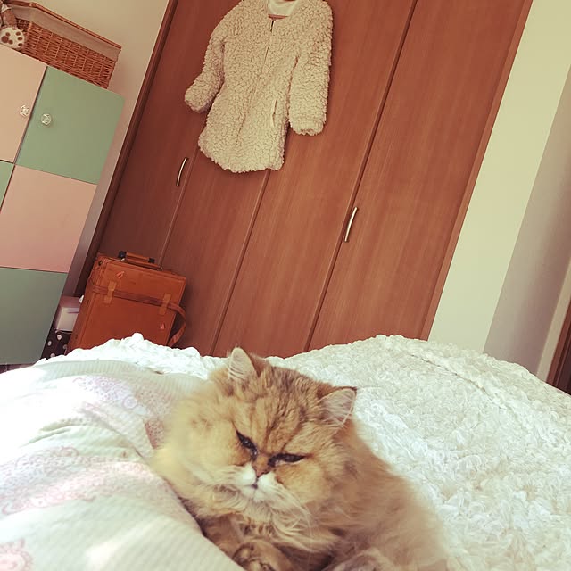 r-m.sさんの実例写真