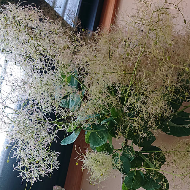 Makiさんの実例写真