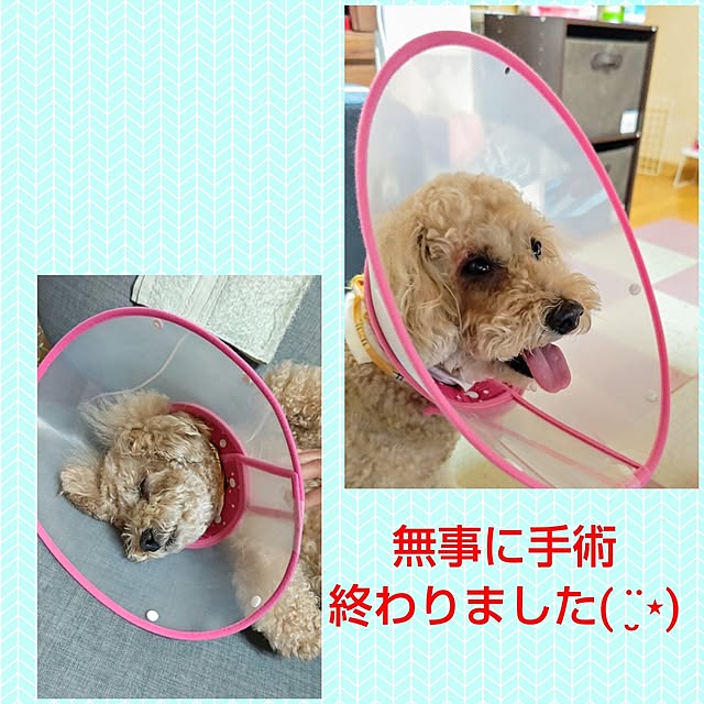 yumirinさんの実例写真