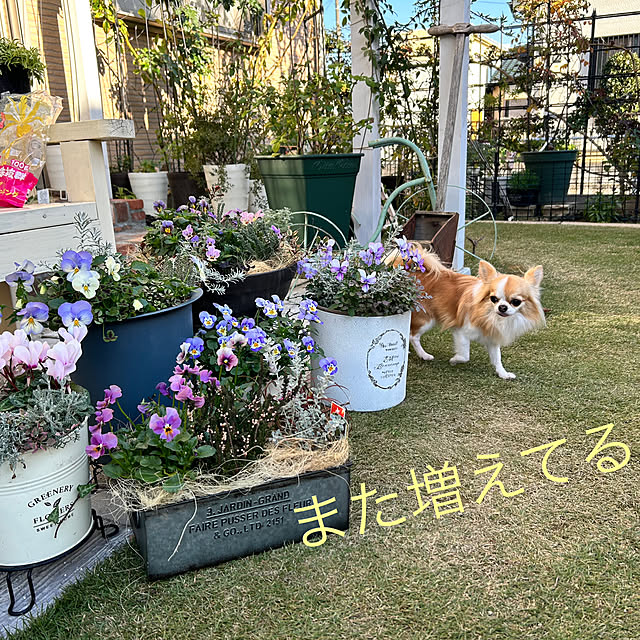Yumiさんの部屋