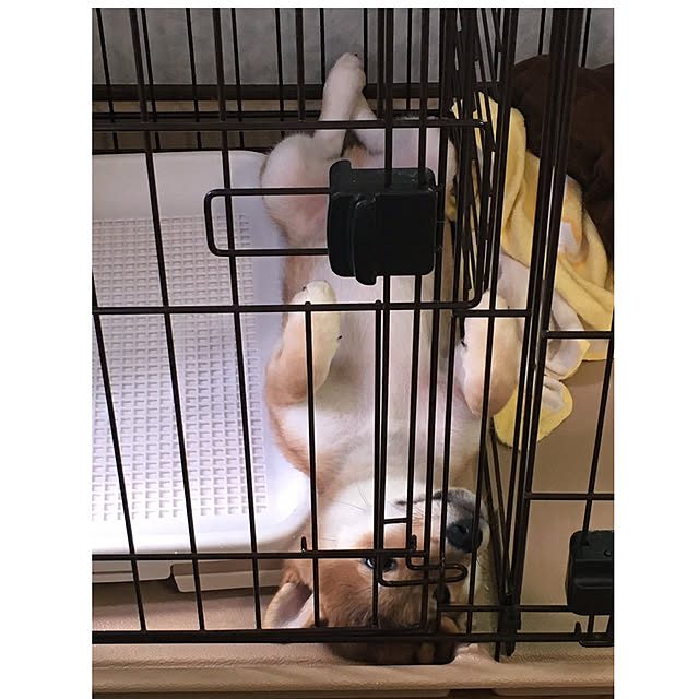 luckyさんの実例写真