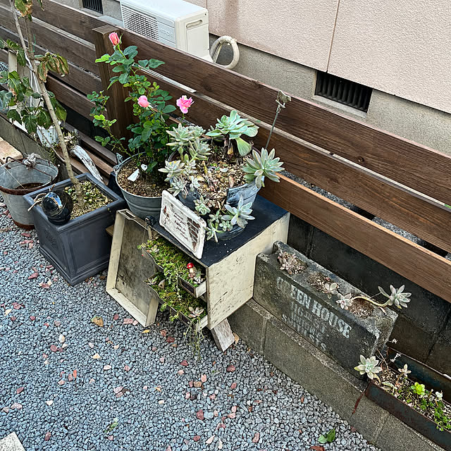 mayumiさんの部屋