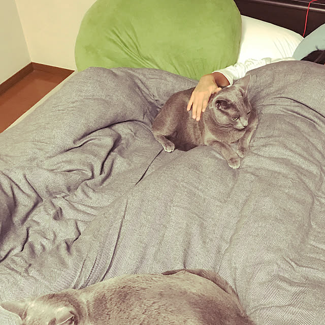 yumi.snoopさんの実例写真