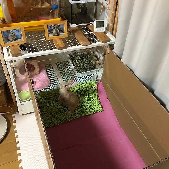 minagiさんの部屋