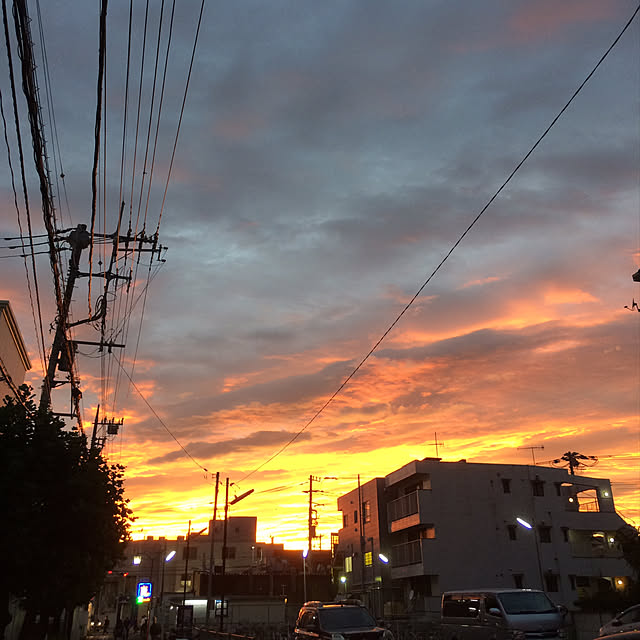 実例写真