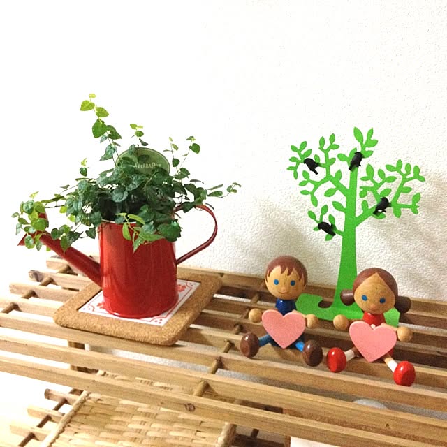 Tomoさんの実例写真