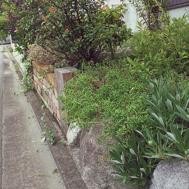 miyaさんの実例写真