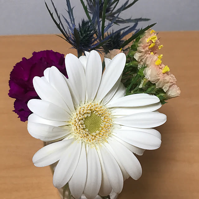 plumさんの実例写真