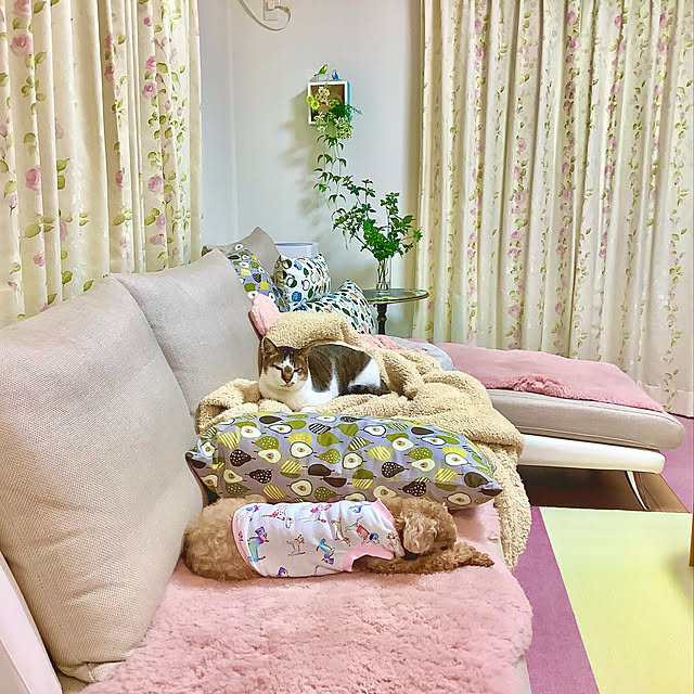 haruminさんの実例写真