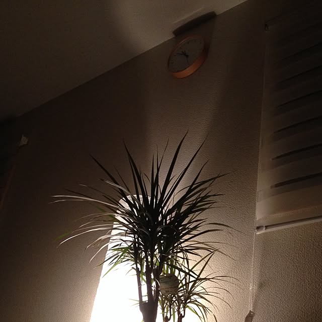 sazaeさんの実例写真
