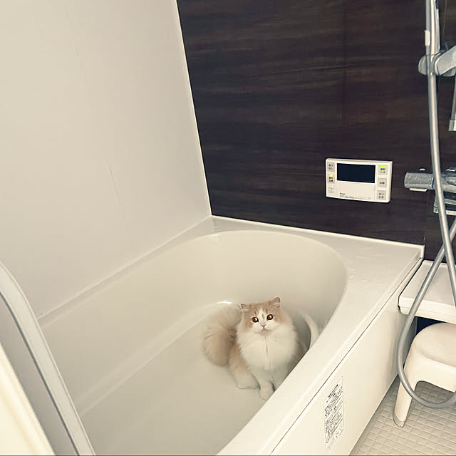 yuuchoさんの実例写真