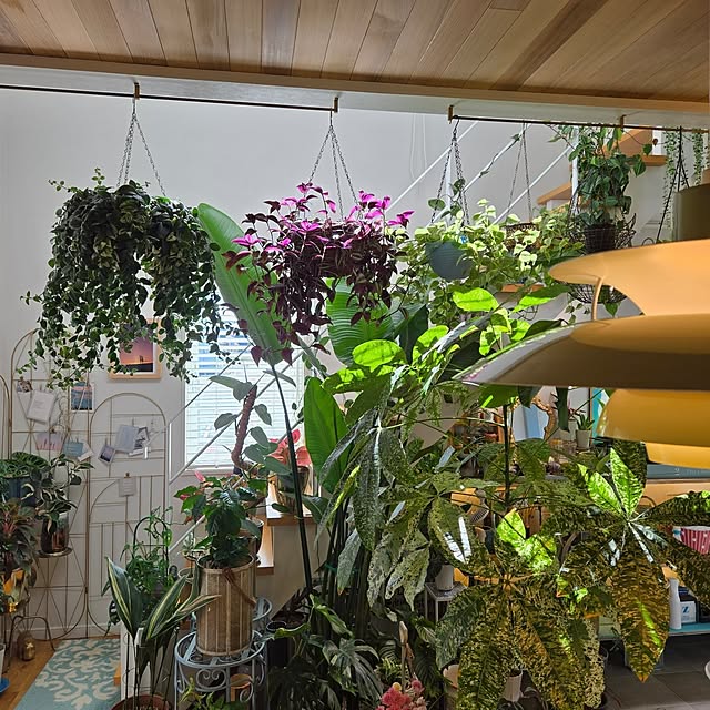 nonbiri_house_さんの部屋