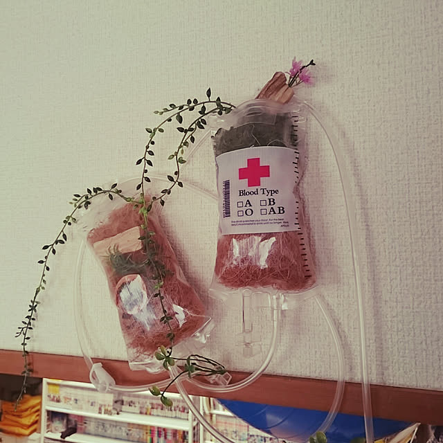HARU3さんの実例写真